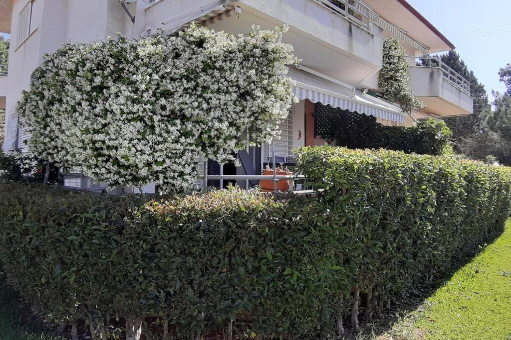 Kleo House Kalives Polygyros Halkidiki Villa Kalyves Polygyrou Exterior photo
